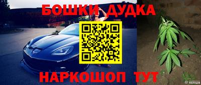 дурь Лесосибирск