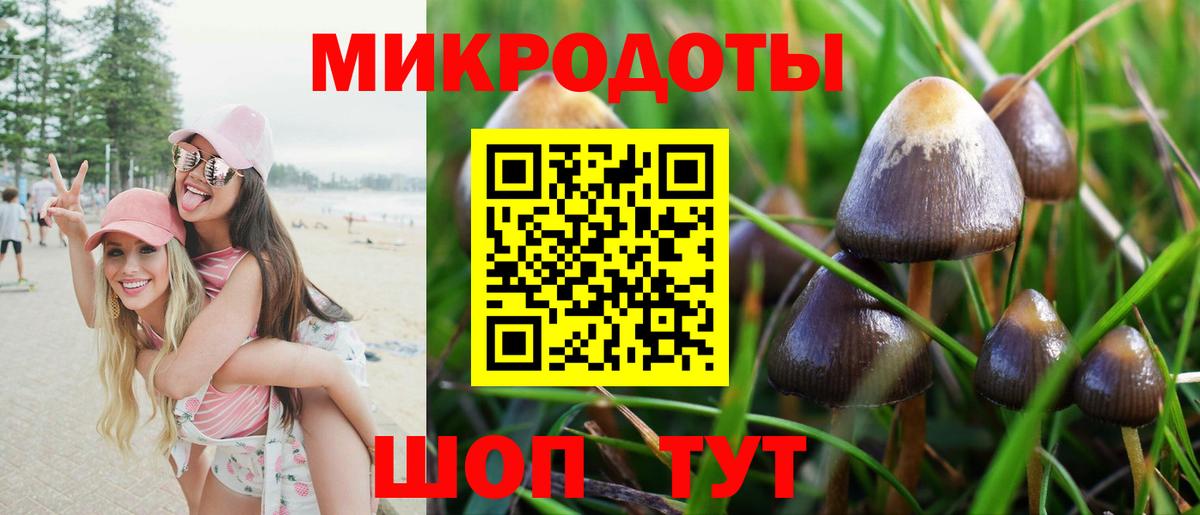 Галлюциногенные грибы GOLDEN TEACHER Липецк