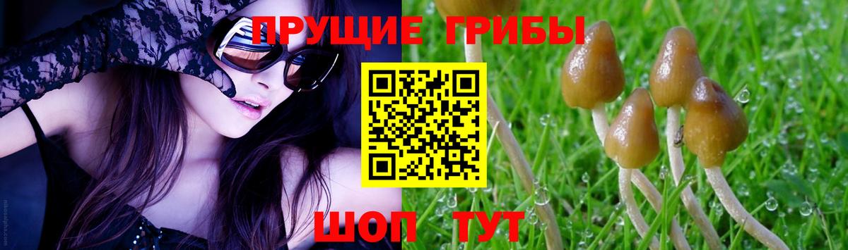 Липецк  Галлюциногенные грибы Cubensis  Вход с VPN 